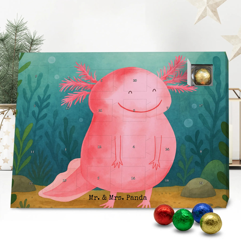 Chocolate advent calendar axolotl Happy Design Axelotl, marine animals, Mexican walking fish, salamander, good mood, tail, amphibian