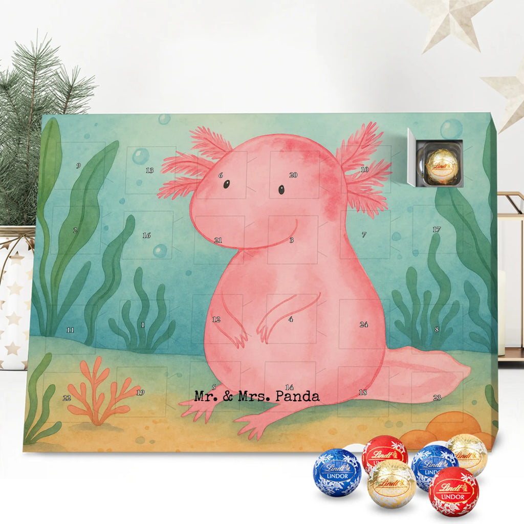 Chocolate advent calendar axolotl zero Design Axelotl, marine animals, Mexican walking fish, salamander, wisdom, worldly wisdom, contented, cheerful, lifestyle, girlfriend