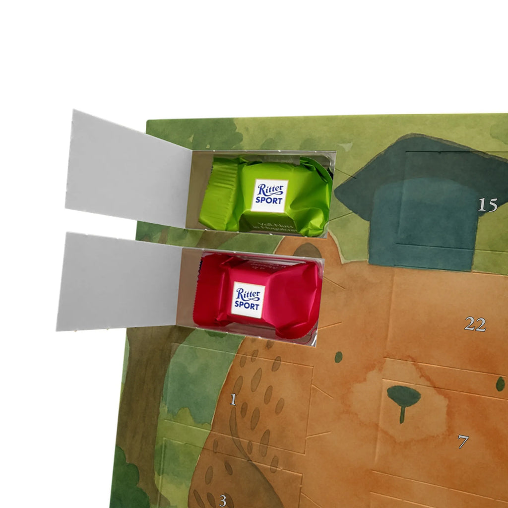 Chocolate advent calendar bear Test Design teddy bear, cuddly toy, diploma, degree, certificate, examinations, examination passed