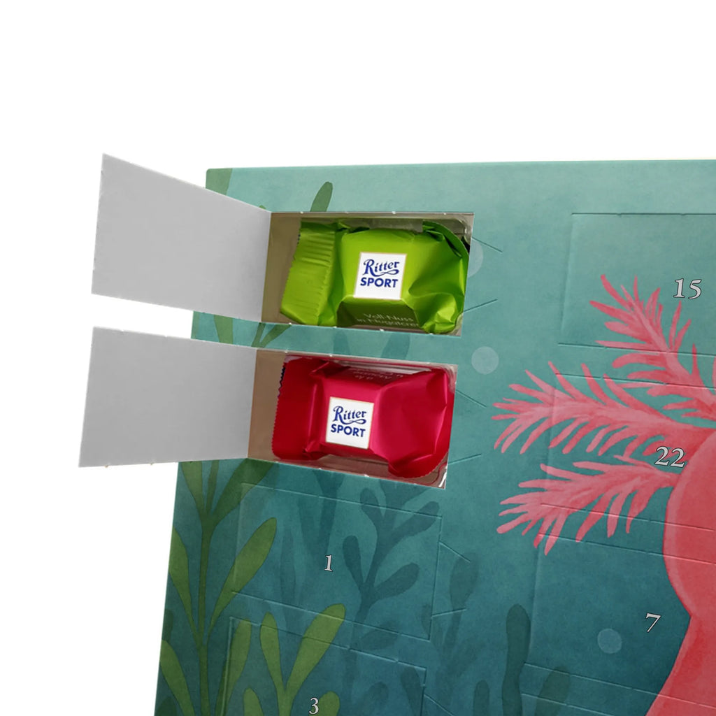 Chocolate advent calendar axolotl Happy Design Axelotl, marine animals, Mexican walking fish, salamander, good mood, tail, amphibian