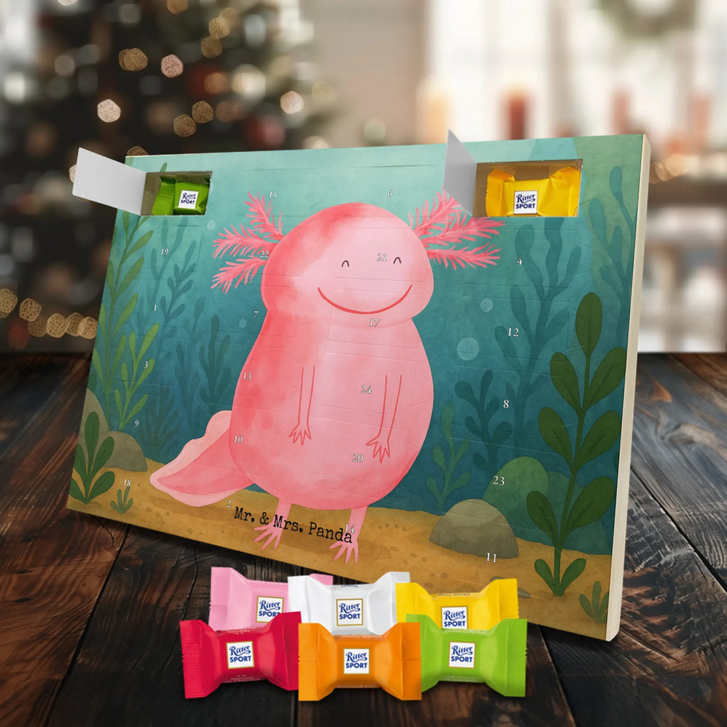 Chocolate advent calendar axolotl Happy Design Axelotl, marine animals, Mexican walking fish, salamander, good mood, tail, amphibian
