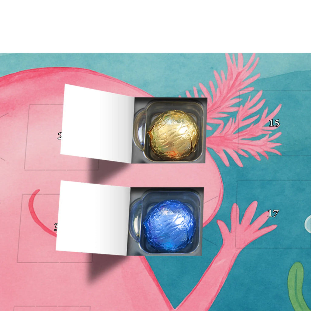 Chocolate advent calendar axolotl Hooray Design Axelotl, marine animals, Mexican walking fish, salamander, fun, joy, cheerful, satisfaction, tail, amphibian