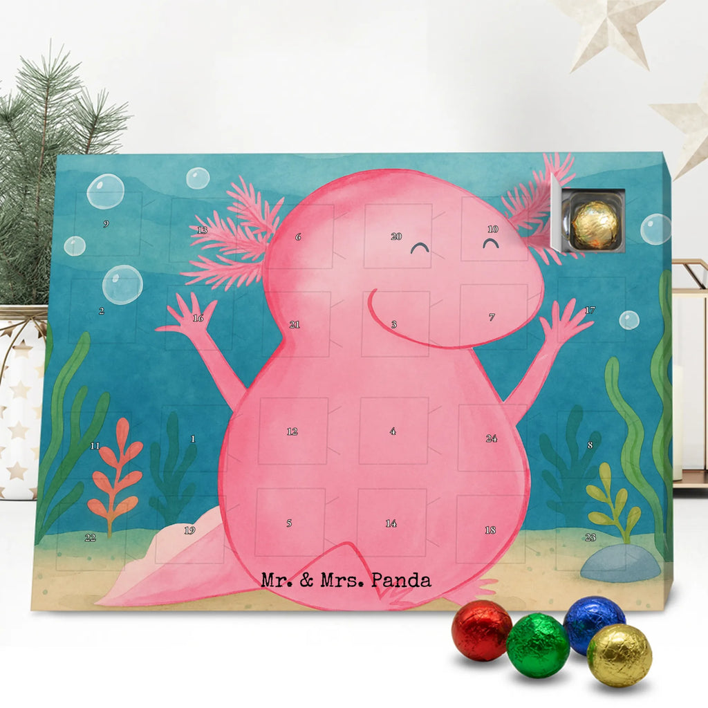 Chocolate advent calendar axolotl Hooray Design Axelotl, marine animals, Mexican walking fish, salamander, fun, joy, cheerful, satisfaction, tail, amphibian