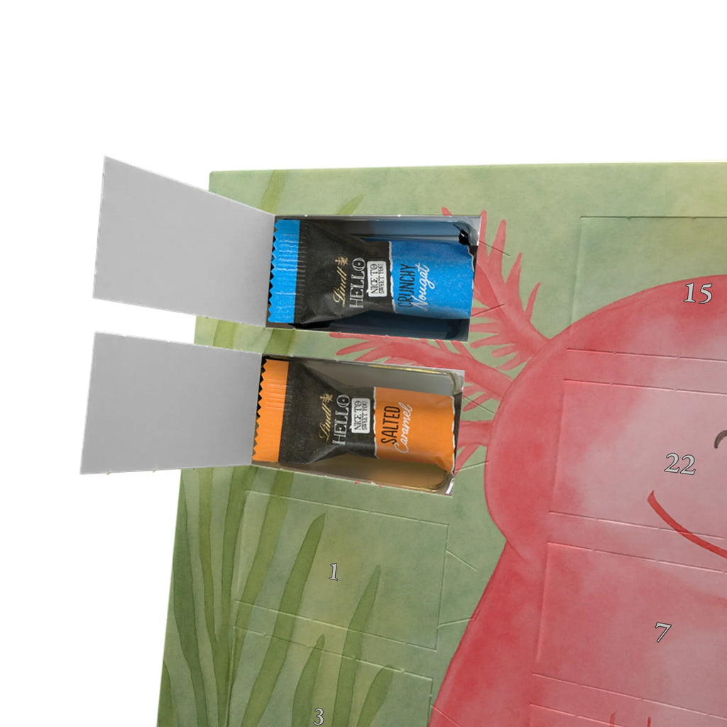 Chocolate advent calendar axolotl Happy Design Axelotl, marine animals, Mexican walking fish, salamander, good mood, tail, amphibian