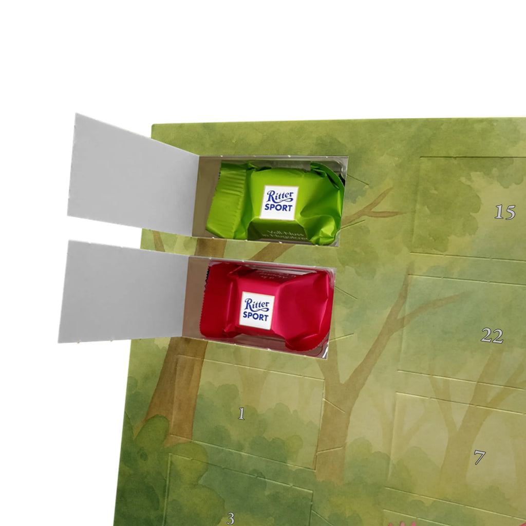 Chocolate advent calendar axolotl Dance Design Axelotl, marine animals, Mexican walking fish, salamander, girlfriend, stars, amphibians, tailfish, roof damage, best friend