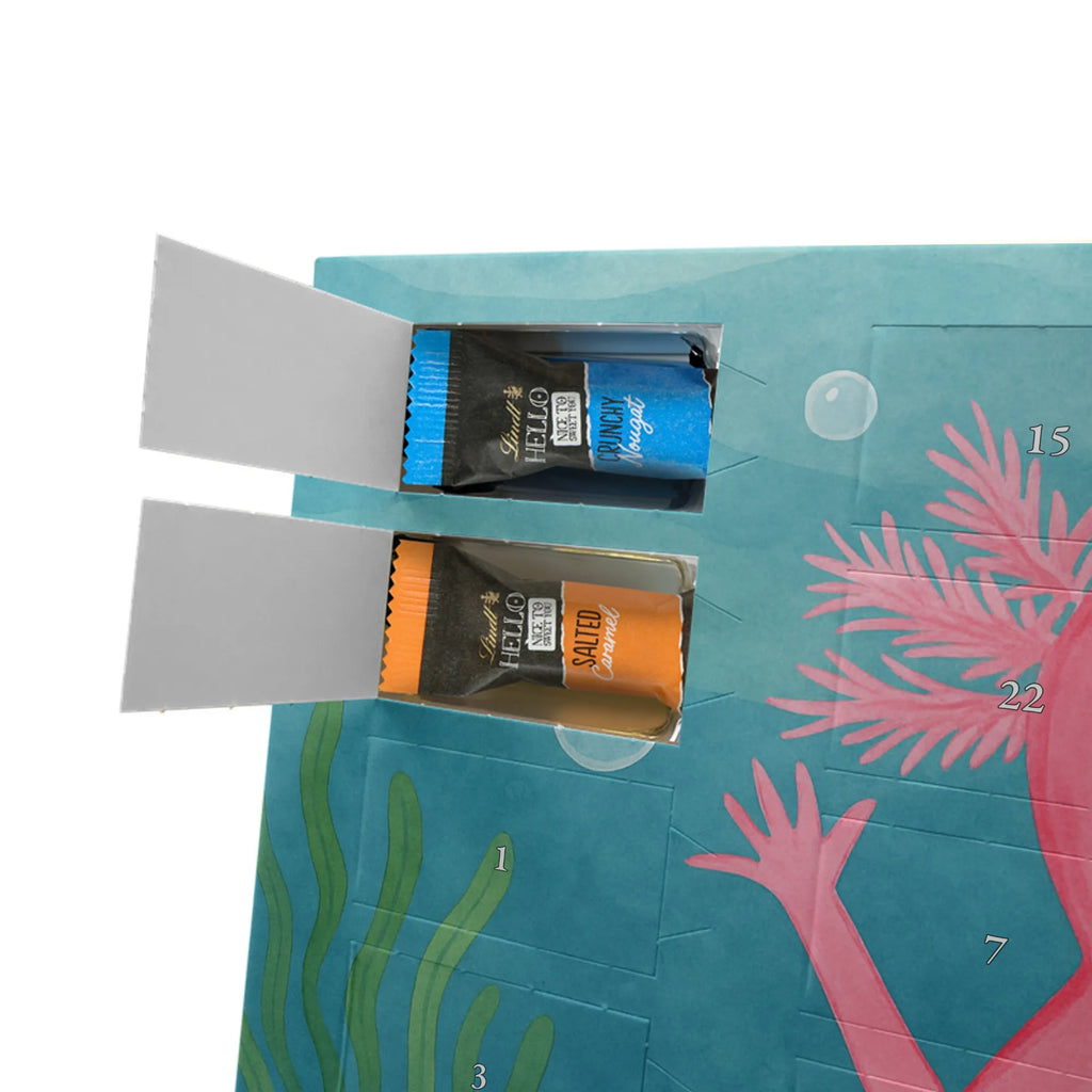 Chocolate advent calendar axolotl Hooray Design Axelotl, marine animals, Mexican walking fish, salamander, fun, joy, cheerful, satisfaction, tail, amphibian