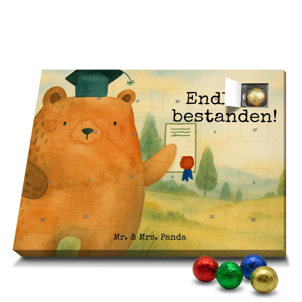 Chocolate advent calendar bear Test Design teddy bear, cuddly toy, diploma, degree, certificate, examinations, examination passed