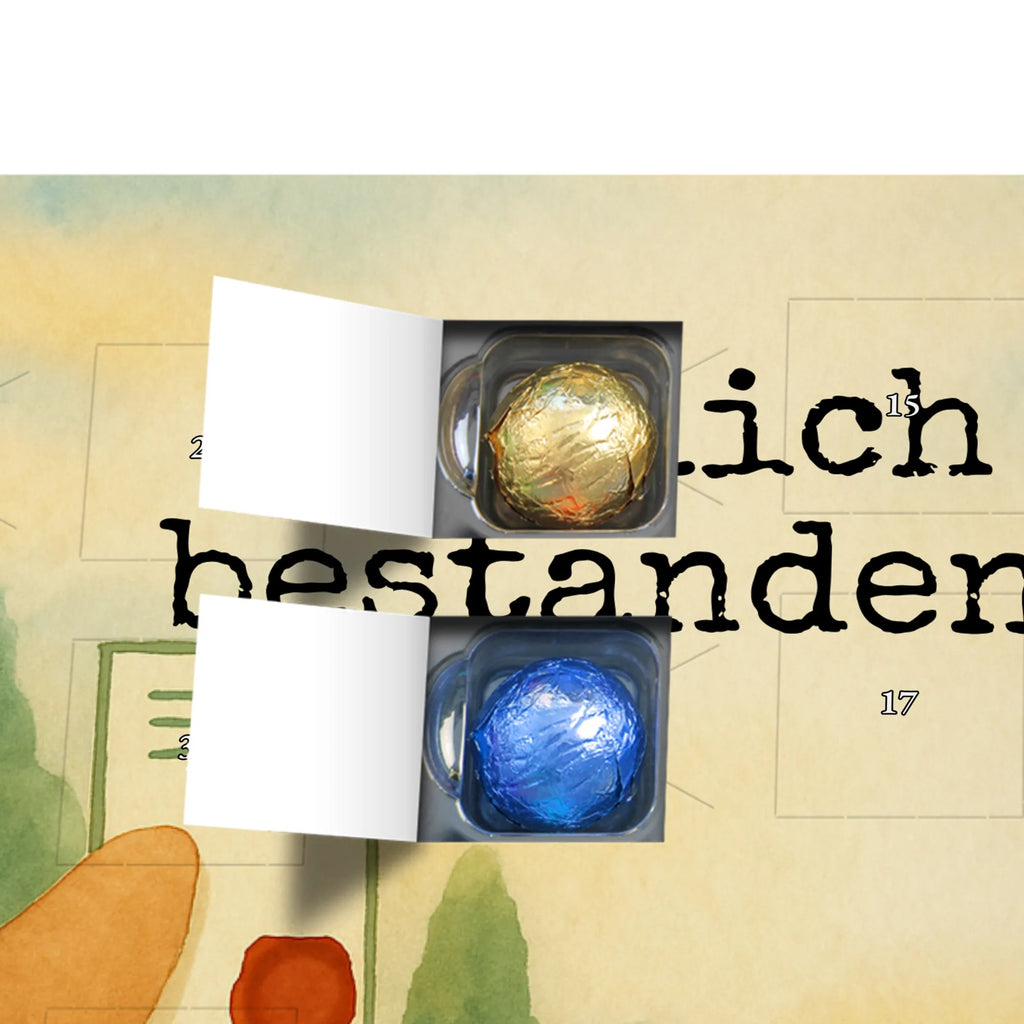 Chocolate advent calendar bear Test Design teddy bear, cuddly toy, diploma, degree, certificate, examinations, examination passed