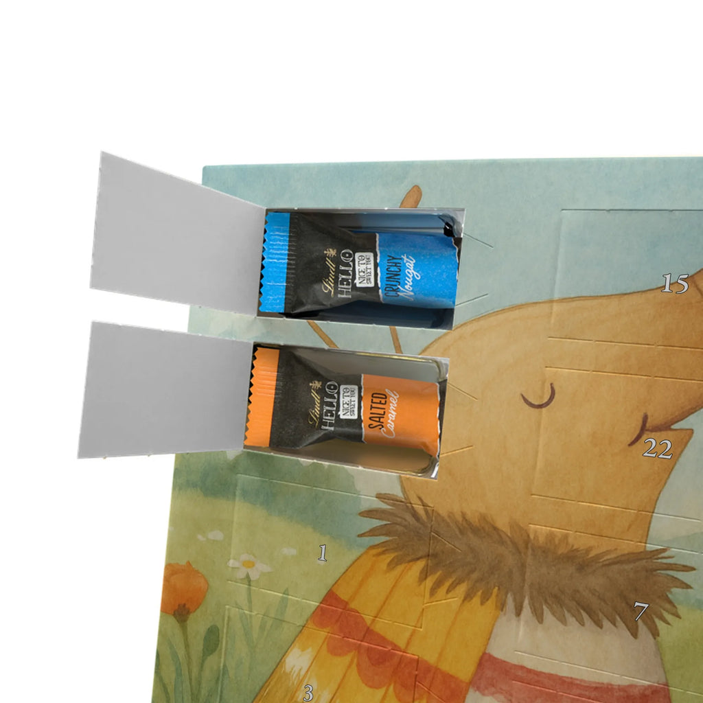 Chocolate advent calendar Moth flag Design card, gift ideas, gifts, small animals, cute, cute animal motives, hand drawn, funny sayings, good mood, special gifts, animal lover, Kitchen decoration, How much does the world cost, Moth, Beetle, Saying funny