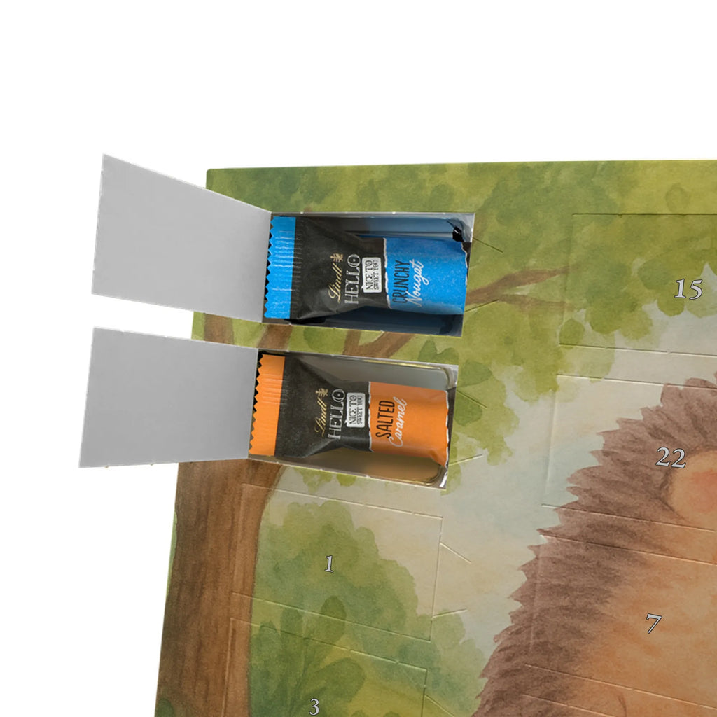 Chocolate advent calendar Hedgehog piece of cake Design card, gift ideas, gifts, small animals, cute, cute animal motives, hand drawn, funny sayings, good mood, special gifts, animal lover, baking gift, food saying, bake cake, birthday cake, invitation party, cake