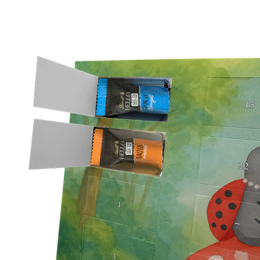 Chocolate advent calendar ladybug toadstool Design card, gift ideas, gifts, small animals, cute, cute animal motives, hand drawn, funny sayings, good mood, special gifts, animal lover, house of fleshy fungi, flat, toadstool, ladybird, at home