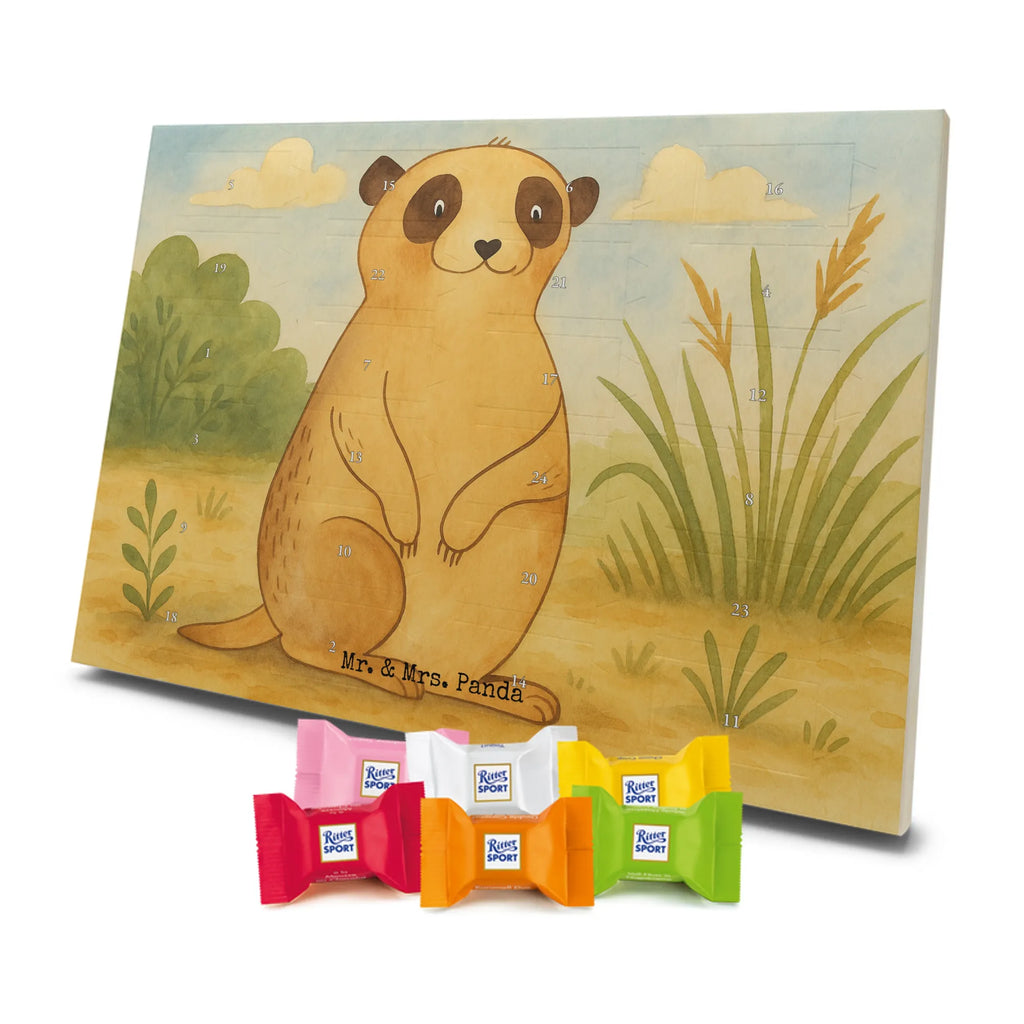 Chocolate advent calendar Meerkat Design Africa, Meerkat, Road trip, Africa trip, Saying, World trip, Travel