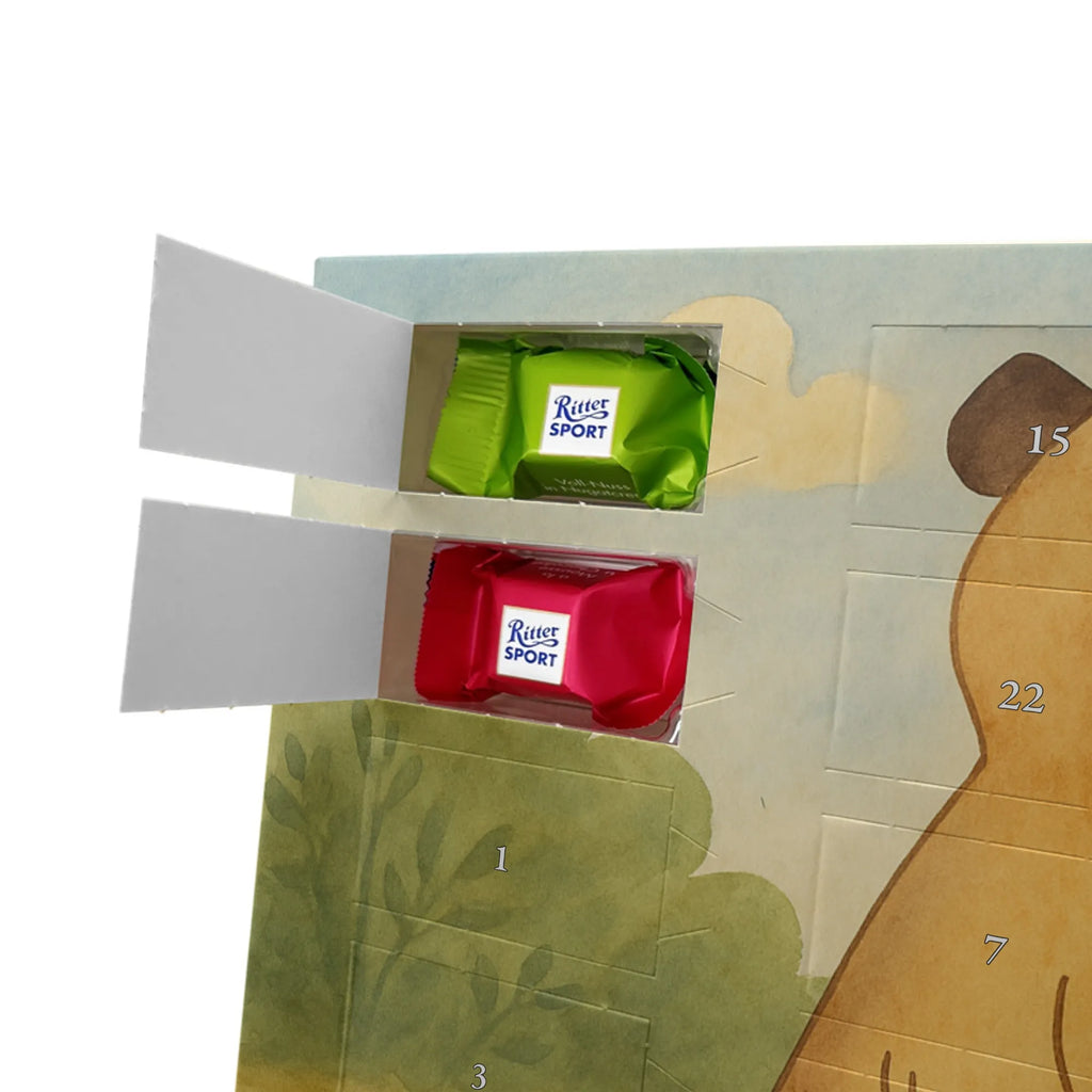 Chocolate advent calendar Meerkat Design Africa, Meerkat, Road trip, Africa trip, Saying, World trip, Travel