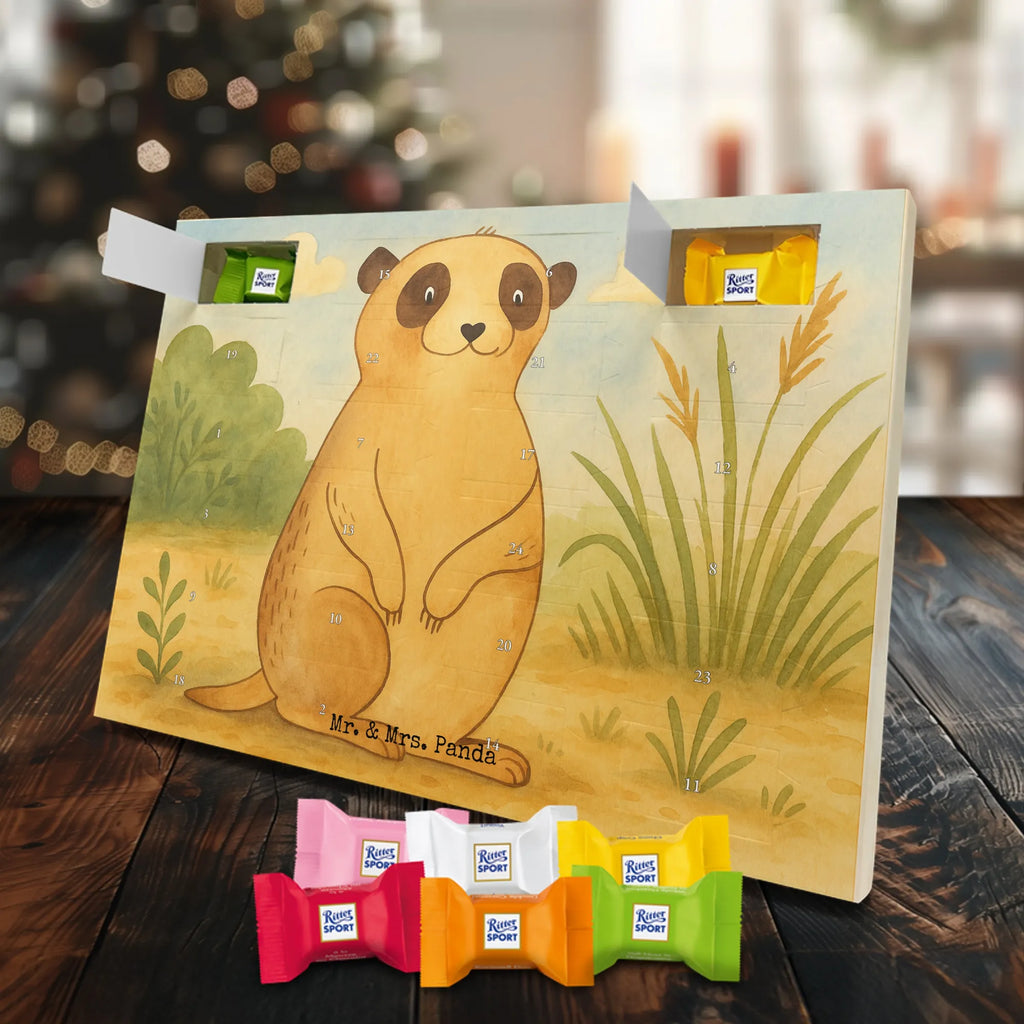 Chocolate advent calendar Meerkat Design Africa, Meerkat, Road trip, Africa trip, Saying, World trip, Travel