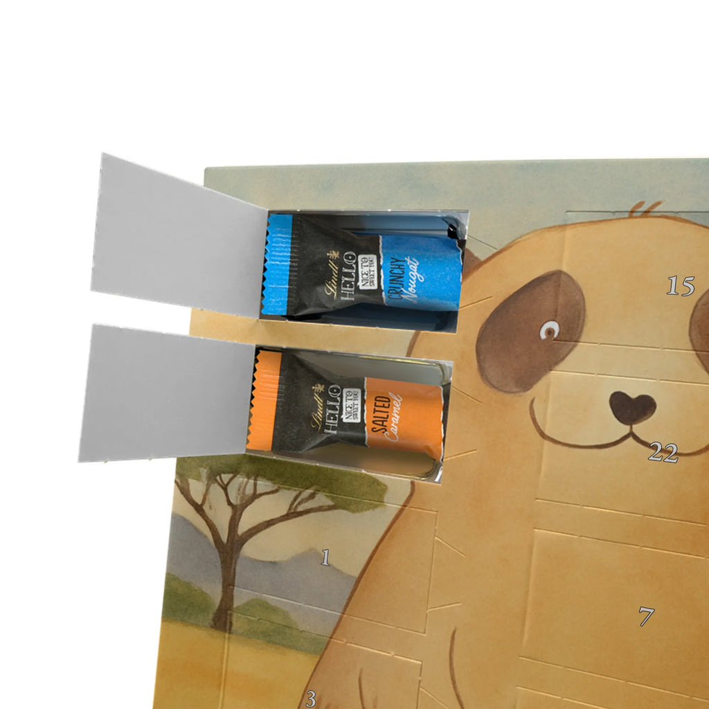 Chocolate advent calendar Meerkat Design Africa, Meerkat, Road trip, Africa trip, Saying, World trip, Travel