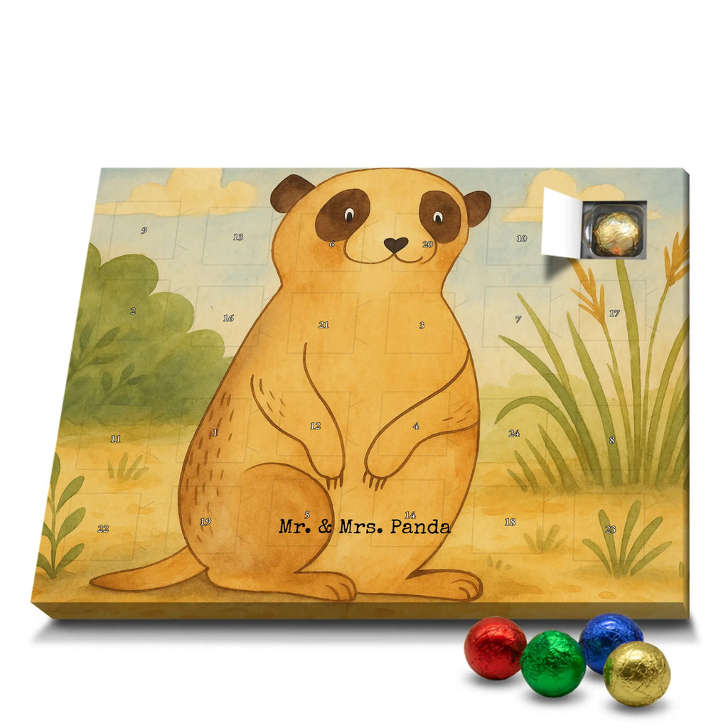 Chocolate advent calendar Meerkat Design Africa, Meerkat, Road trip, Africa trip, Saying, World trip, Travel