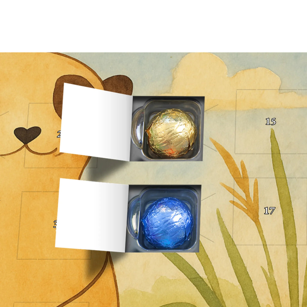 Chocolate advent calendar Meerkat Design Africa, Meerkat, Road trip, Africa trip, Saying, World trip, Travel