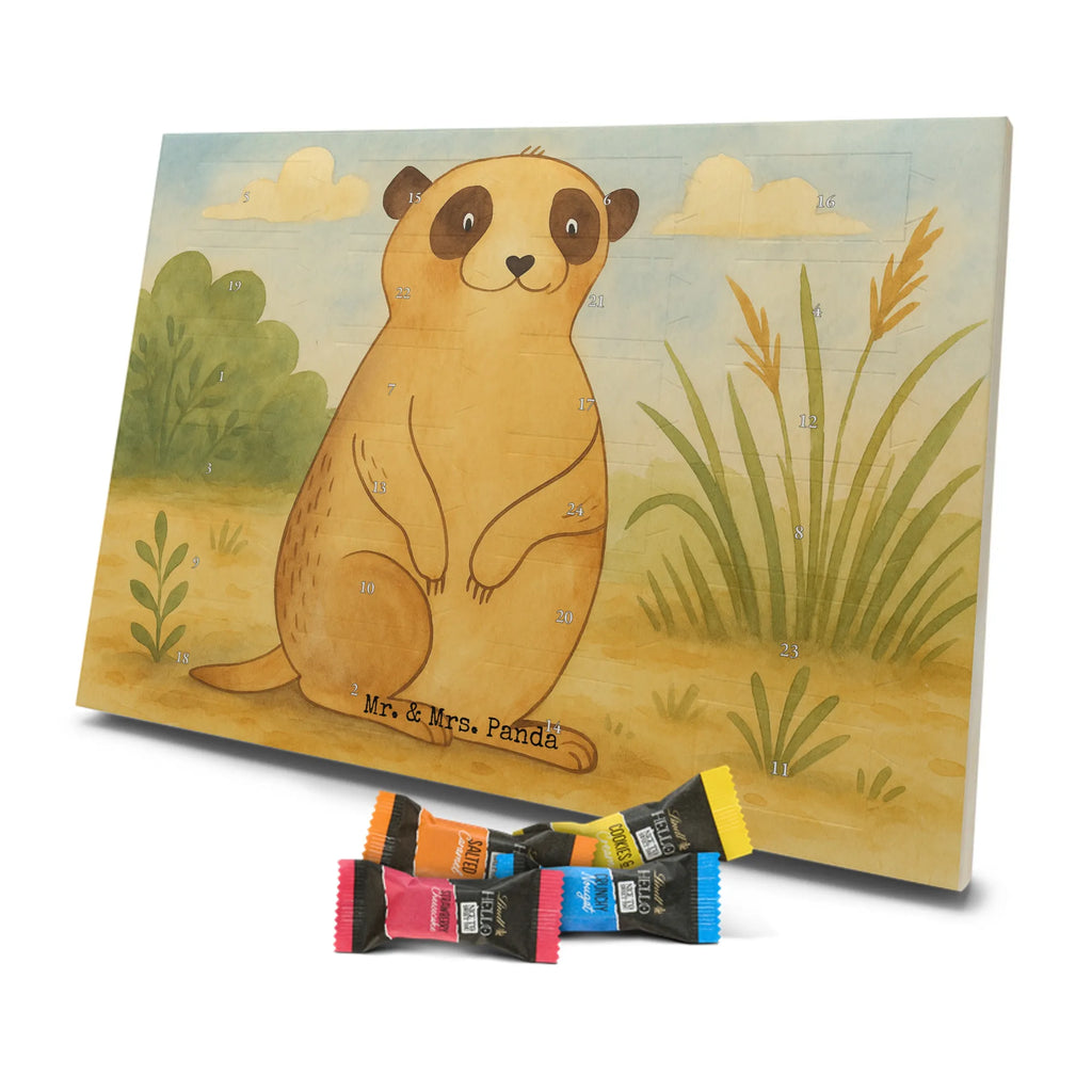 Chocolate advent calendar Meerkat Design Africa, Meerkat, Road trip, Africa trip, Saying, World trip, Travel