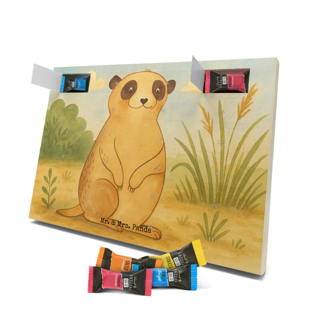 Chocolate advent calendar Meerkat Design Africa, Meerkat, Road trip, Africa trip, Saying, World trip, Travel