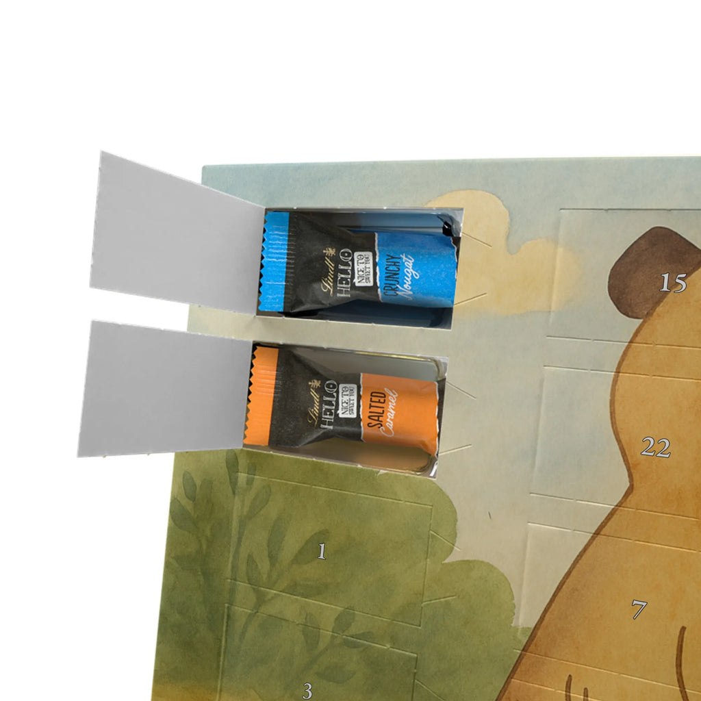 Chocolate advent calendar Meerkat Design Africa, Meerkat, Road trip, Africa trip, Saying, World trip, Travel