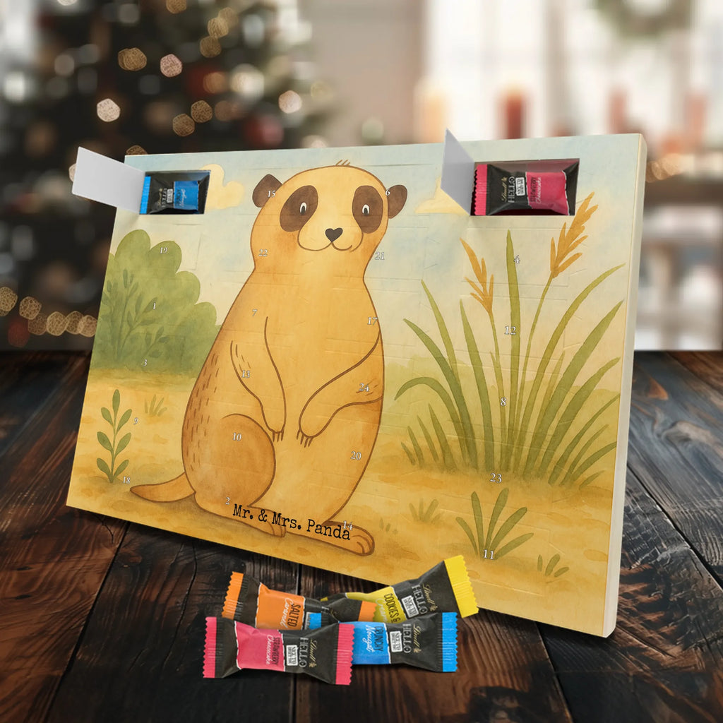 Chocolate advent calendar Meerkat Design Africa, Meerkat, Road trip, Africa trip, Saying, World trip, Travel