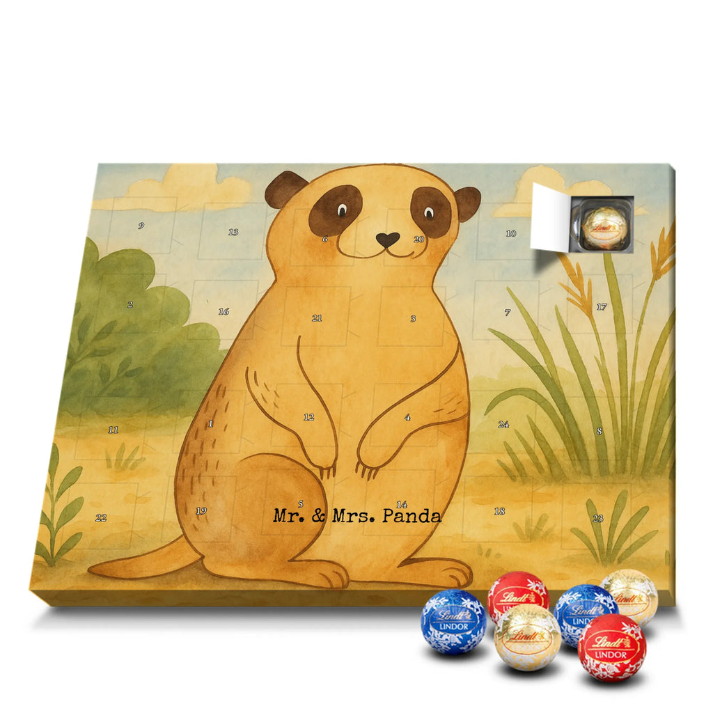 Chocolate advent calendar Meerkat Design Africa, Meerkat, Road trip, Africa trip, Saying, World trip, Travel
