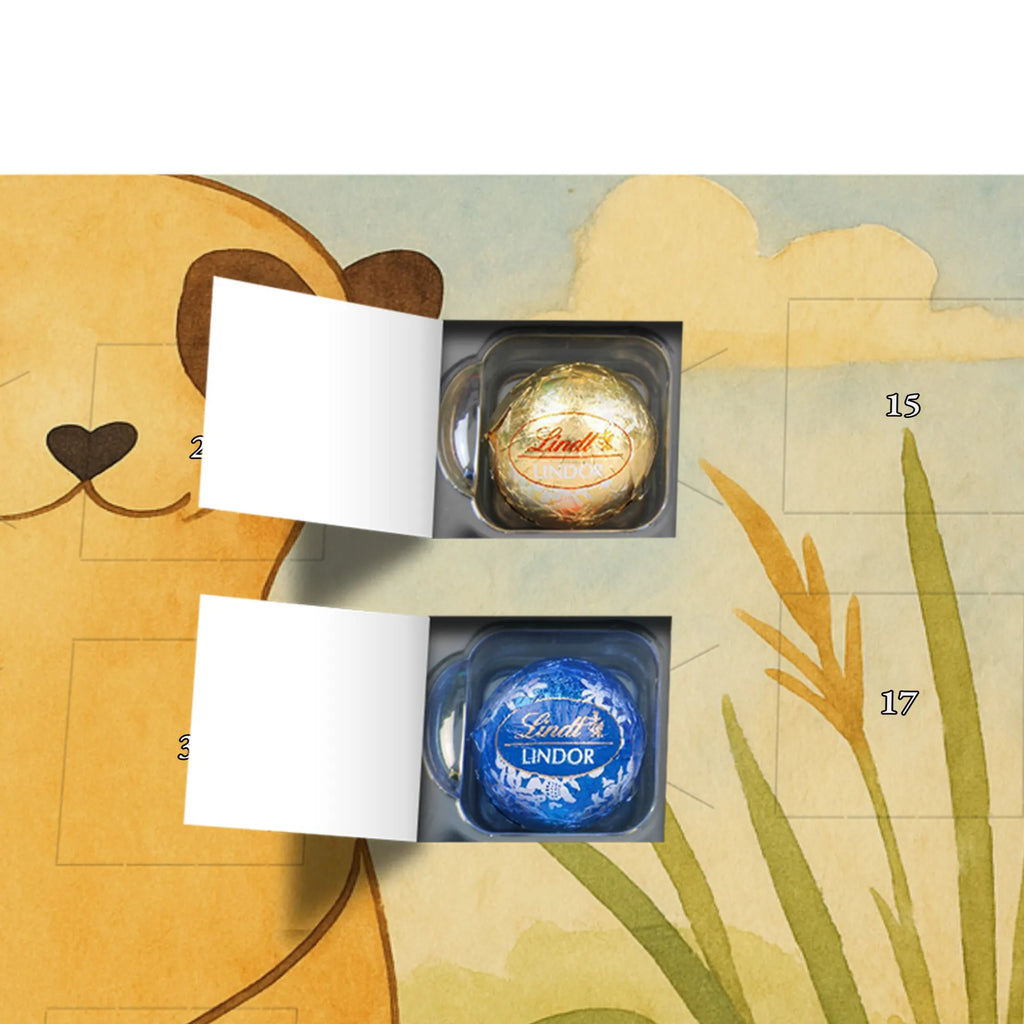 Chocolate advent calendar Meerkat Design Africa, Meerkat, Road trip, Africa trip, Saying, World trip, Travel