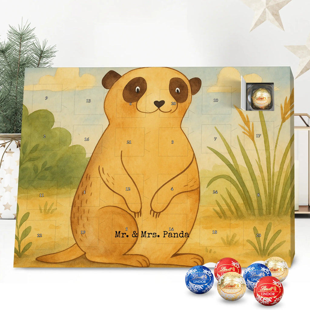 Chocolate advent calendar Meerkat Design Africa, Meerkat, Road trip, Africa trip, Saying, World trip, Travel