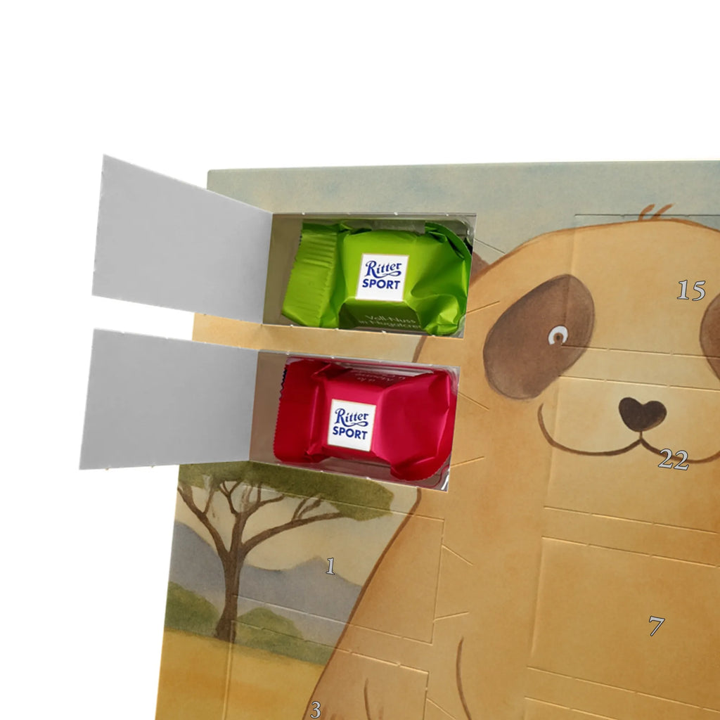 Chocolate advent calendar Meerkat Design Africa, Meerkat, Road trip, Africa trip, Saying, World trip, Travel