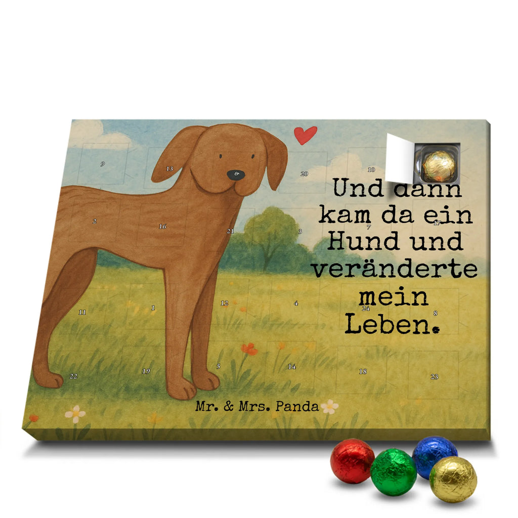 Chocolate advent calendar Dog mastiff Design dog breed, mutt, hound, woof, dog mama, love dogs, love for dogs, dog decorative items, bag with dog print, funny gifts for dog owners, what do you give a dog lover, Christmas gifts for dogs, gifts for dogs, dog sayings, Dogs