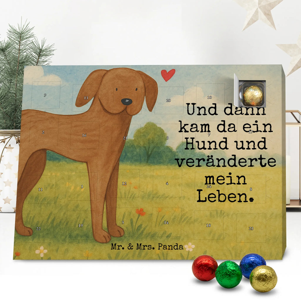 Chocolate advent calendar Dog mastiff Design dog breed, mutt, hound, woof, dog mama, love dogs, love for dogs, dog decorative items, bag with dog print, funny gifts for dog owners, what do you give a dog lover, Christmas gifts for dogs, gifts for dogs, dog sayings, Dogs