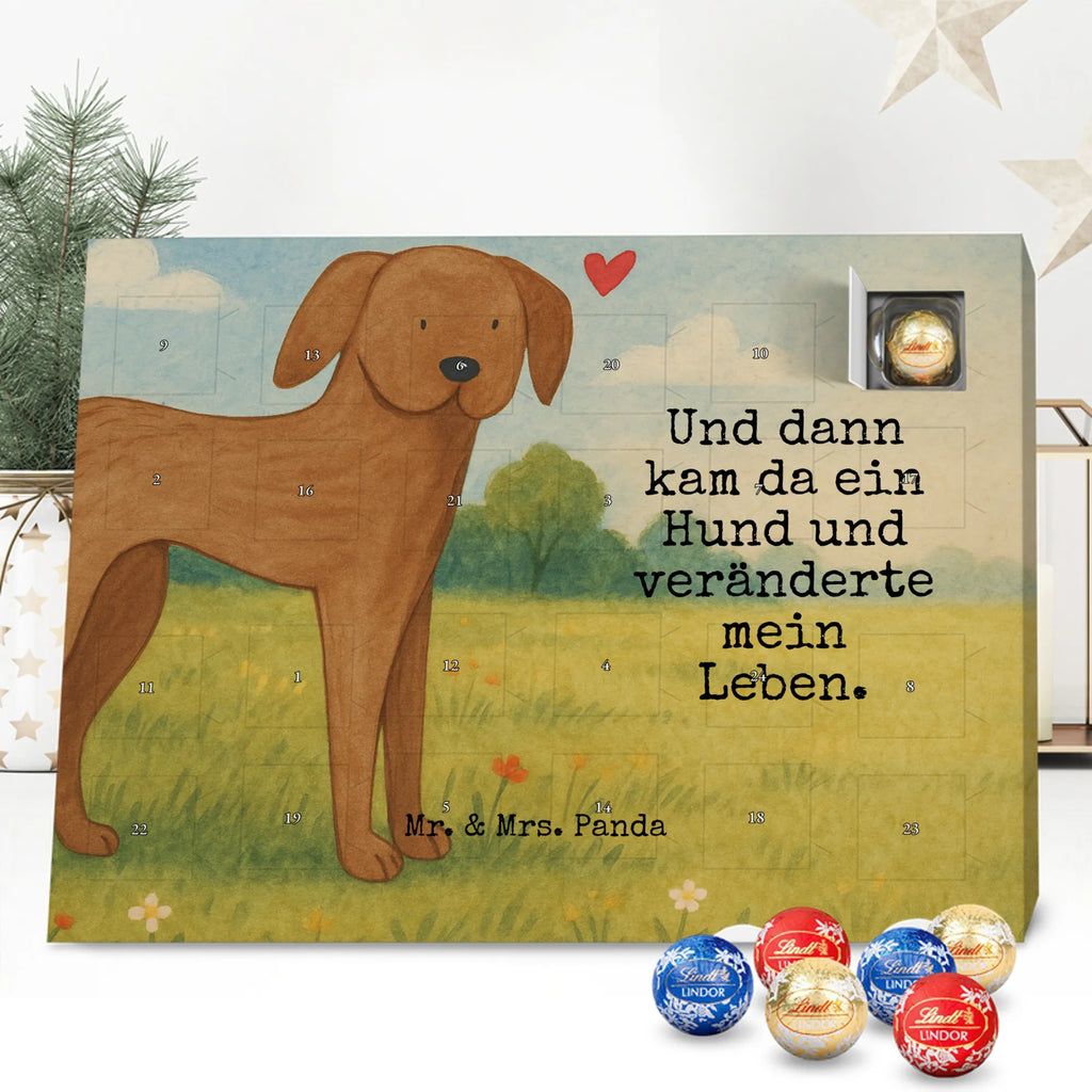 Chocolate advent calendar Dog mastiff Design dog breed, mutt, hound, woof, dog mama, love dogs, love for dogs, dog decorative items, bag with dog print, funny gifts for dog owners, what do you give a dog lover, Christmas gifts for dogs, gifts for dogs, dog sayings, Dogs