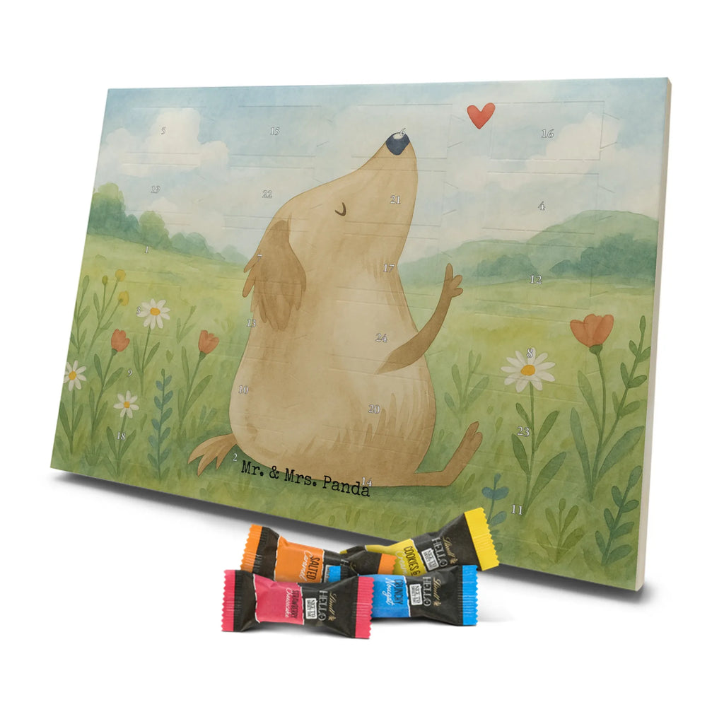 Adventskalender Hund Liebe Design Schoko Adventskalender, Weihnachtskalender, advent kalender, Adventskalender Schokolade, Adventskalender, süßigkeiten adventskalender, Weihnachtskalender Schokolade, schokoladenkalender, schoko kalender, Schokoladen Adventskalender, adventskalender pralinen, schokolade adventskalender, süßigkeiten kalender, schokoladen kalender, schokokalender, schoko weihnachtskalender, adventskalender süßigkeiten, kalender schokolade, weihnachtskalender schoko, adventskalender mit schokolade, adventskalender mit süßigkeiten, pralinen adventskalender, adventskalender mit pralinen, Hund, Sprüche, Hunderasse, Tierliebhaber, Hundebesitzer, Haustier, Hundemotiv, Hunde, Hundeglück, Liebe, Hundeliebe, Frauchen