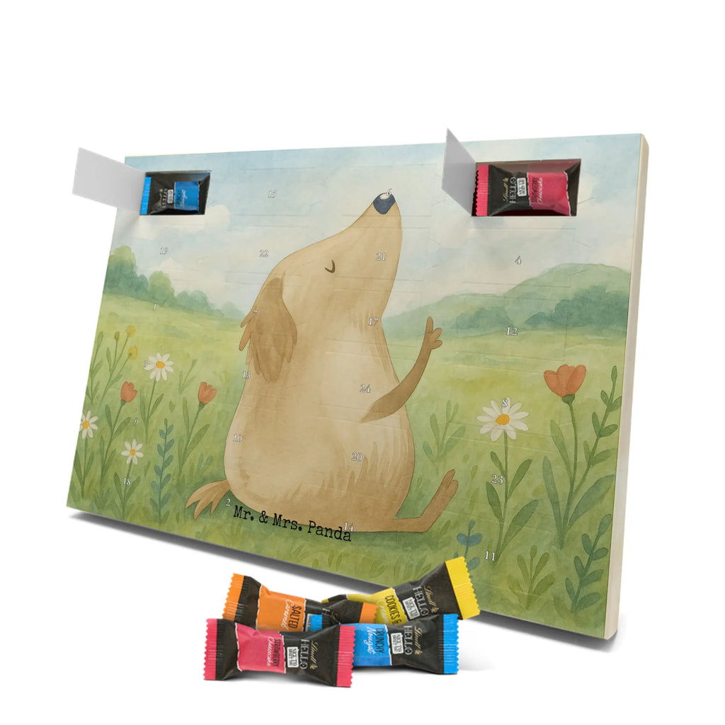 Adventskalender Hund Liebe Design Schoko Adventskalender, Weihnachtskalender, advent kalender, Adventskalender Schokolade, Adventskalender, süßigkeiten adventskalender, Weihnachtskalender Schokolade, schokoladenkalender, schoko kalender, Schokoladen Adventskalender, adventskalender pralinen, schokolade adventskalender, süßigkeiten kalender, schokoladen kalender, schokokalender, schoko weihnachtskalender, adventskalender süßigkeiten, kalender schokolade, weihnachtskalender schoko, adventskalender mit schokolade, adventskalender mit süßigkeiten, pralinen adventskalender, adventskalender mit pralinen, Hund, Sprüche, Hunderasse, Tierliebhaber, Hundebesitzer, Haustier, Hundemotiv, Hunde, Hundeglück, Liebe, Hundeliebe, Frauchen