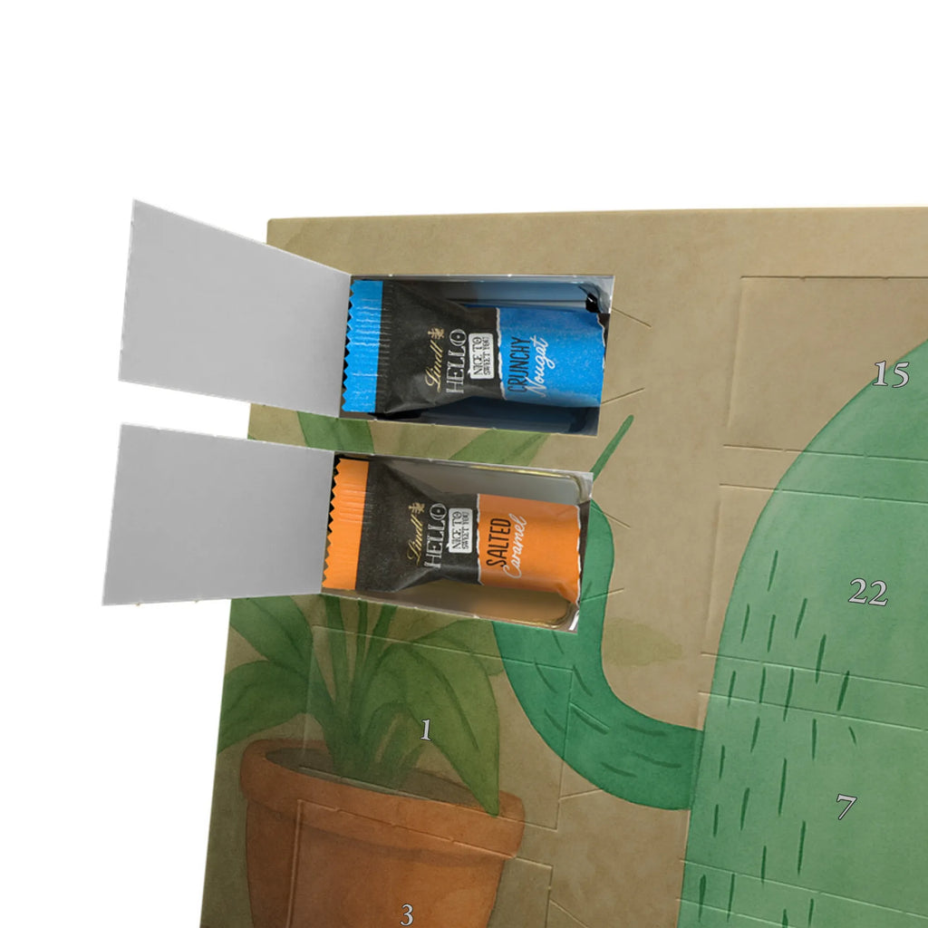  Kaktus gniew Design Kaktusy