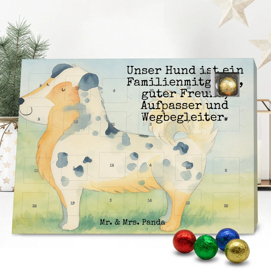 Chocolate advent calendar Dog Australia Shepherd Design hound, dog sayings, gifts for dogs, Christmas gifts for dogs, what do you give a dog lover, funny gifts for dog owners, bag with dog print, dog decorative items, love for dogs, dog breed, love dogs, dog mama, mutt, woof, Family dog, Saying, Sayings, Australia Shepherd, Dog love