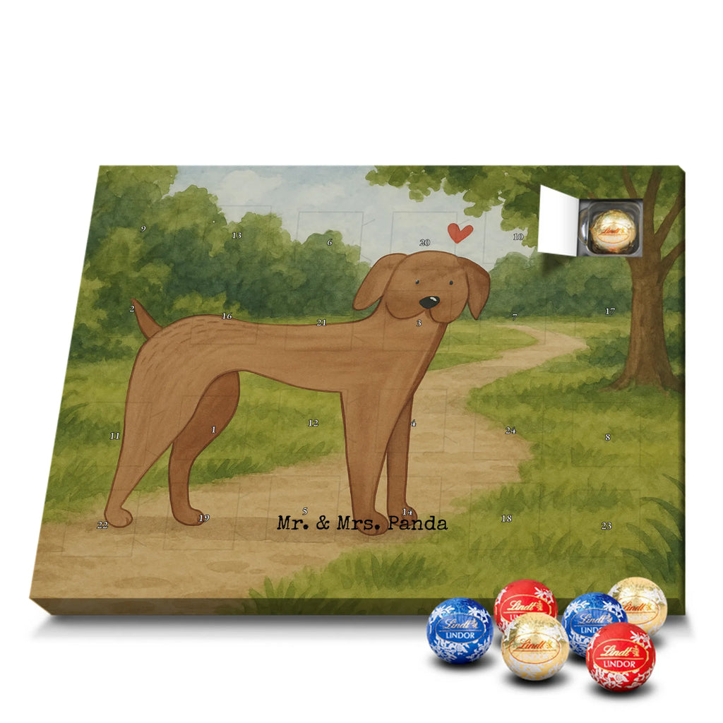 Chocolate advent calendar Dog mastiff Design dog breed, mutt, hound, woof, dog mama, love dogs, love for dogs, dog decorative items, bag with dog print, funny gifts for dog owners, what do you give a dog lover, Christmas gifts for dogs, gifts for dogs, dog sayings, Dogs