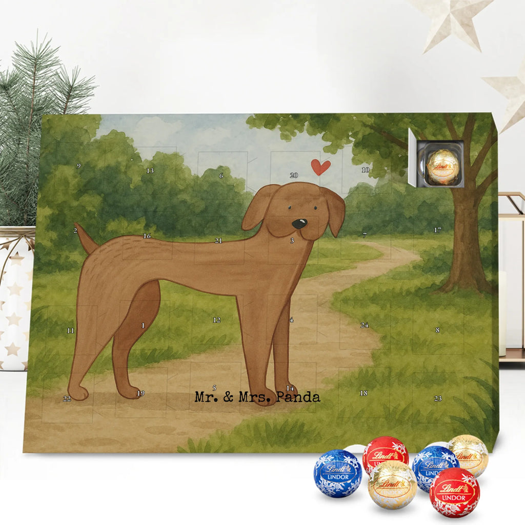 Chocolate advent calendar Dog mastiff Design dog breed, mutt, hound, woof, dog mama, love dogs, love for dogs, dog decorative items, bag with dog print, funny gifts for dog owners, what do you give a dog lover, Christmas gifts for dogs, gifts for dogs, dog sayings, Dogs
