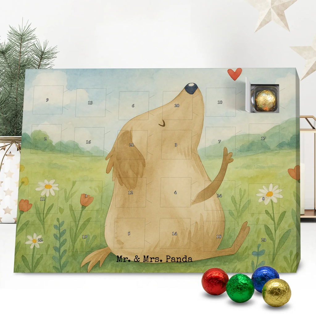 Adventskalender Hund Liebe Design Schoko Adventskalender, Weihnachtskalender, advent kalender, Adventskalender Schokolade, Adventskalender, süßigkeiten adventskalender, Weihnachtskalender Schokolade, schokoladenkalender, schoko kalender, Schokoladen Adventskalender, adventskalender pralinen, schokolade adventskalender, süßigkeiten kalender, schokoladen kalender, schokokalender, schoko weihnachtskalender, adventskalender süßigkeiten, kalender schokolade, weihnachtskalender schoko, adventskalender mit schokolade, adventskalender mit süßigkeiten, pralinen adventskalender, adventskalender mit pralinen, Hund, Sprüche, Hunderasse, Tierliebhaber, Hundebesitzer, Haustier, Hundemotiv, Hunde, Hundeglück, Liebe, Hundeliebe, Frauchen