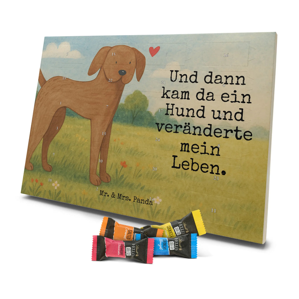 Chocolate advent calendar Dog mastiff Design dog breed, mutt, hound, woof, dog mama, love dogs, love for dogs, dog decorative items, bag with dog print, funny gifts for dog owners, what do you give a dog lover, Christmas gifts for dogs, gifts for dogs, dog sayings, Dogs