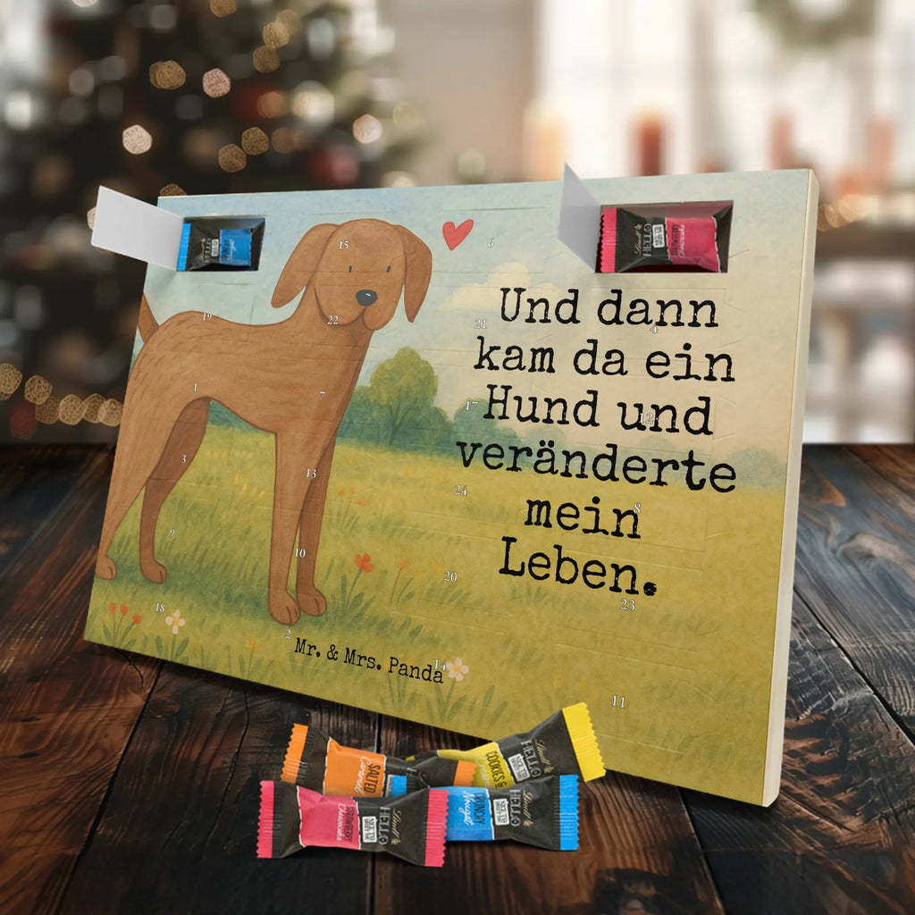 Chocolate advent calendar Dog mastiff Design dog breed, mutt, hound, woof, dog mama, love dogs, love for dogs, dog decorative items, bag with dog print, funny gifts for dog owners, what do you give a dog lover, Christmas gifts for dogs, gifts for dogs, dog sayings, Dogs