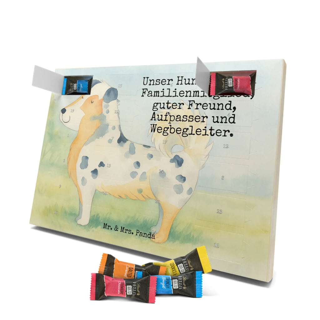Chocolate advent calendar Dog Australia Shepherd Design hound, dog sayings, gifts for dogs, Christmas gifts for dogs, what do you give a dog lover, funny gifts for dog owners, bag with dog print, dog decorative items, love for dogs, dog breed, love dogs, dog mama, mutt, woof, Family dog, Saying, Sayings, Australia Shepherd, Dog love