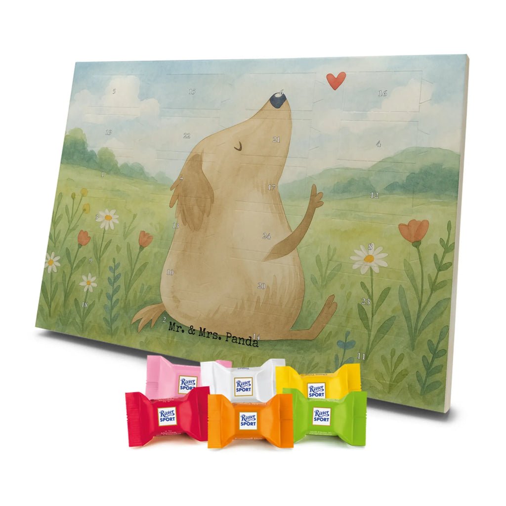Adventskalender Hund Liebe Design Schoko Adventskalender, Weihnachtskalender, advent kalender, Adventskalender Schokolade, Adventskalender, süßigkeiten adventskalender, Weihnachtskalender Schokolade, schokoladenkalender, schoko kalender, Schokoladen Adventskalender, adventskalender pralinen, schokolade adventskalender, süßigkeiten kalender, schokoladen kalender, schokokalender, schoko weihnachtskalender, adventskalender süßigkeiten, kalender schokolade, weihnachtskalender schoko, adventskalender mit schokolade, adventskalender mit süßigkeiten, pralinen adventskalender, adventskalender mit pralinen, Hund, Sprüche, Hunderasse, Tierliebhaber, Hundebesitzer, Haustier, Hundemotiv, Hunde, Hundeglück, Liebe, Hundeliebe, Frauchen