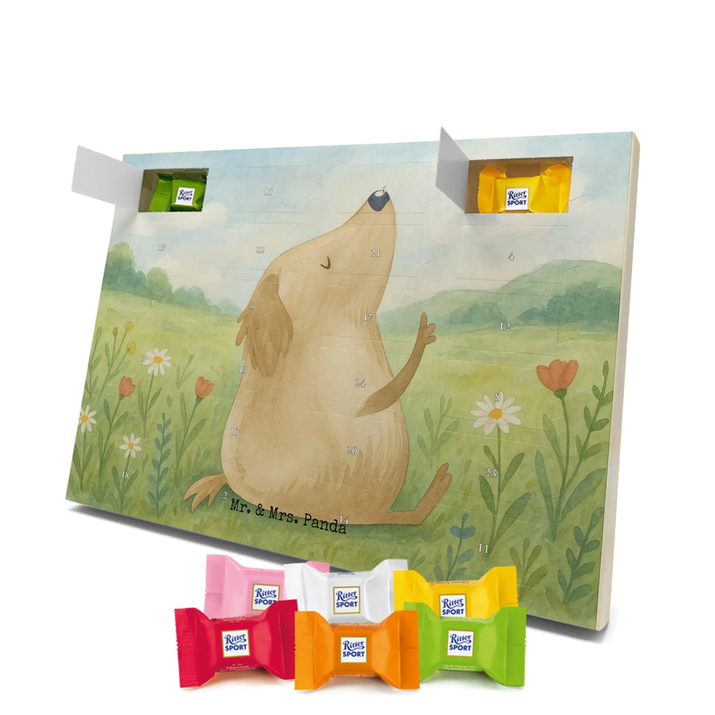 Adventskalender Hund Liebe Design Schoko Adventskalender, Weihnachtskalender, advent kalender, Adventskalender Schokolade, Adventskalender, süßigkeiten adventskalender, Weihnachtskalender Schokolade, schokoladenkalender, schoko kalender, Schokoladen Adventskalender, adventskalender pralinen, schokolade adventskalender, süßigkeiten kalender, schokoladen kalender, schokokalender, schoko weihnachtskalender, adventskalender süßigkeiten, kalender schokolade, weihnachtskalender schoko, adventskalender mit schokolade, adventskalender mit süßigkeiten, pralinen adventskalender, adventskalender mit pralinen, Hund, Sprüche, Hunderasse, Tierliebhaber, Hundebesitzer, Haustier, Hundemotiv, Hunde, Hundeglück, Liebe, Hundeliebe, Frauchen