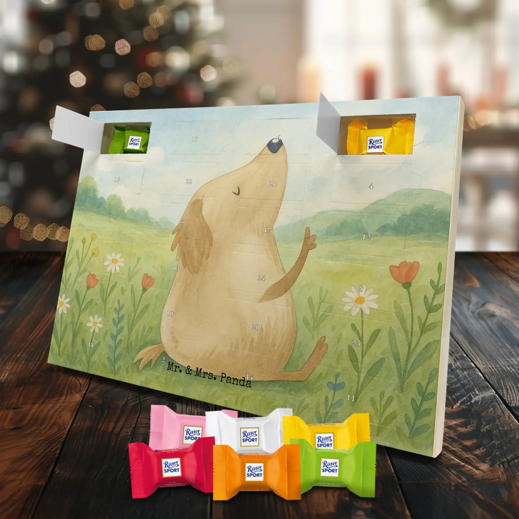 Adventskalender Hund Liebe Design Schoko Adventskalender, Weihnachtskalender, advent kalender, Adventskalender Schokolade, Adventskalender, süßigkeiten adventskalender, Weihnachtskalender Schokolade, schokoladenkalender, schoko kalender, Schokoladen Adventskalender, adventskalender pralinen, schokolade adventskalender, süßigkeiten kalender, schokoladen kalender, schokokalender, schoko weihnachtskalender, adventskalender süßigkeiten, kalender schokolade, weihnachtskalender schoko, adventskalender mit schokolade, adventskalender mit süßigkeiten, pralinen adventskalender, adventskalender mit pralinen, Hund, Sprüche, Hunderasse, Tierliebhaber, Hundebesitzer, Haustier, Hundemotiv, Hunde, Hundeglück, Liebe, Hundeliebe, Frauchen