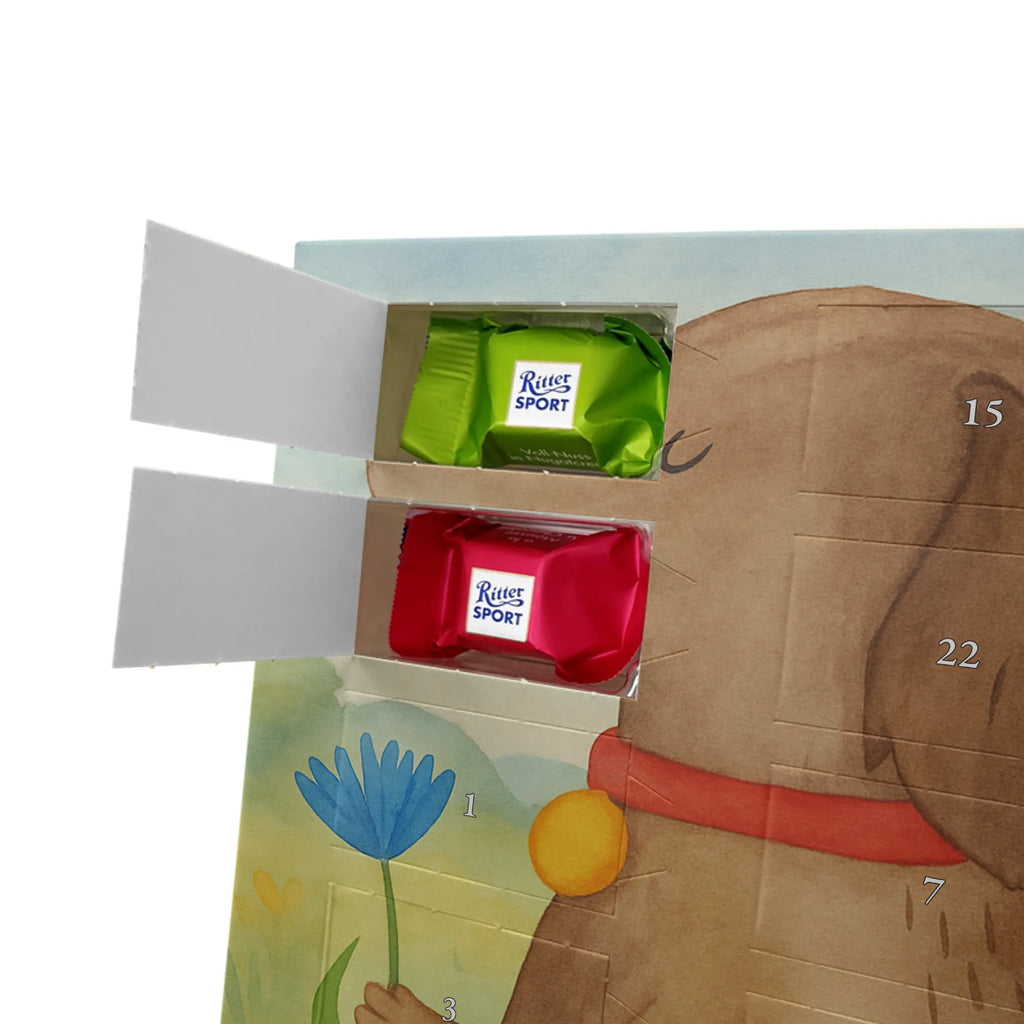 Chocolate advent calendar Dog flower Design dog breed, mutt, hound, woof, dog mama, love dogs, love for dogs, dog decorative items, bag with dog print, funny gifts for dog owners, what do you give a dog lover, Christmas gifts for dogs, gifts for dogs, dog sayings, dog lover, dogs, mistress, dog owners