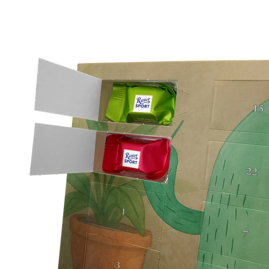  Kaktus gniew Design Kaktusy