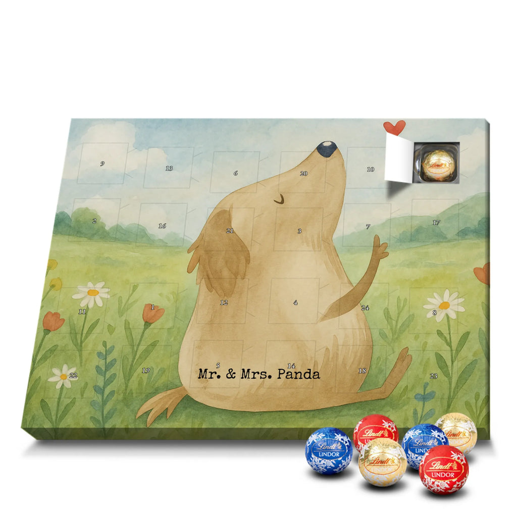 Adventskalender Hund Liebe Design Schoko Adventskalender, Weihnachtskalender, advent kalender, Adventskalender Schokolade, Adventskalender, süßigkeiten adventskalender, Weihnachtskalender Schokolade, schokoladenkalender, schoko kalender, Schokoladen Adventskalender, adventskalender pralinen, schokolade adventskalender, süßigkeiten kalender, schokoladen kalender, schokokalender, schoko weihnachtskalender, adventskalender süßigkeiten, kalender schokolade, weihnachtskalender schoko, adventskalender mit schokolade, adventskalender mit süßigkeiten, pralinen adventskalender, adventskalender mit pralinen, Hund, Sprüche, Hunderasse, Tierliebhaber, Hundebesitzer, Haustier, Hundemotiv, Hunde, Hundeglück, Liebe, Hundeliebe, Frauchen
