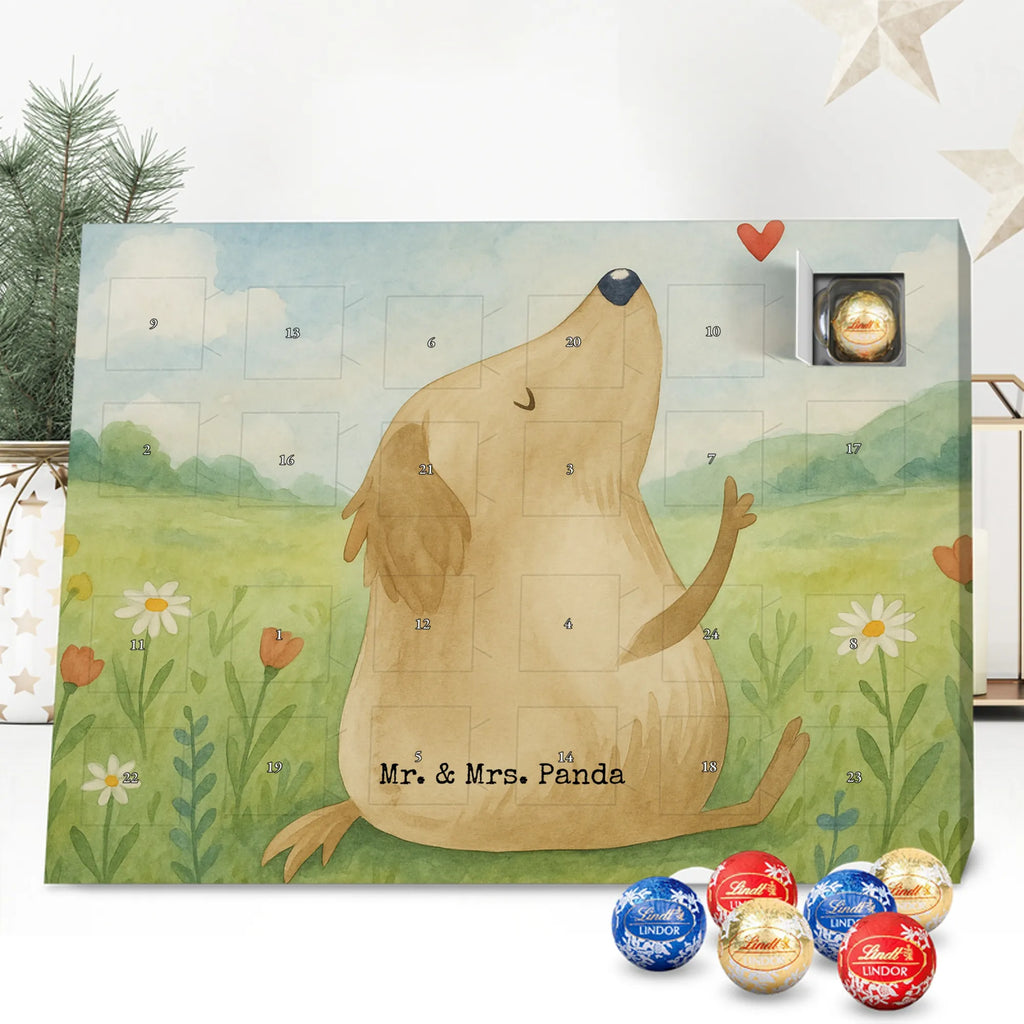 Adventskalender Hund Liebe Design Schoko Adventskalender, Weihnachtskalender, advent kalender, Adventskalender Schokolade, Adventskalender, süßigkeiten adventskalender, Weihnachtskalender Schokolade, schokoladenkalender, schoko kalender, Schokoladen Adventskalender, adventskalender pralinen, schokolade adventskalender, süßigkeiten kalender, schokoladen kalender, schokokalender, schoko weihnachtskalender, adventskalender süßigkeiten, kalender schokolade, weihnachtskalender schoko, adventskalender mit schokolade, adventskalender mit süßigkeiten, pralinen adventskalender, adventskalender mit pralinen, Hund, Sprüche, Hunderasse, Tierliebhaber, Hundebesitzer, Haustier, Hundemotiv, Hunde, Hundeglück, Liebe, Hundeliebe, Frauchen