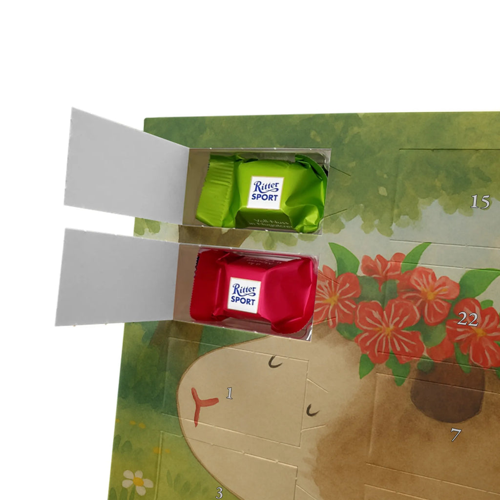 Chocolate advent calendar Guinea pig wisdom Design card, gift ideas, gifts, small animals, cute, cute animal motives, hand drawn, funny sayings, good mood, special gifts, animal lover, wonderland, saying, wisdom, reality, flower child, guinea pig, wonder